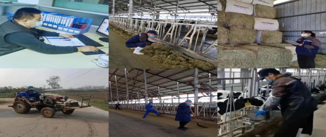 @全體花花牛人：請珍惜你的崗位，請善待我們共同的“花花?！?！