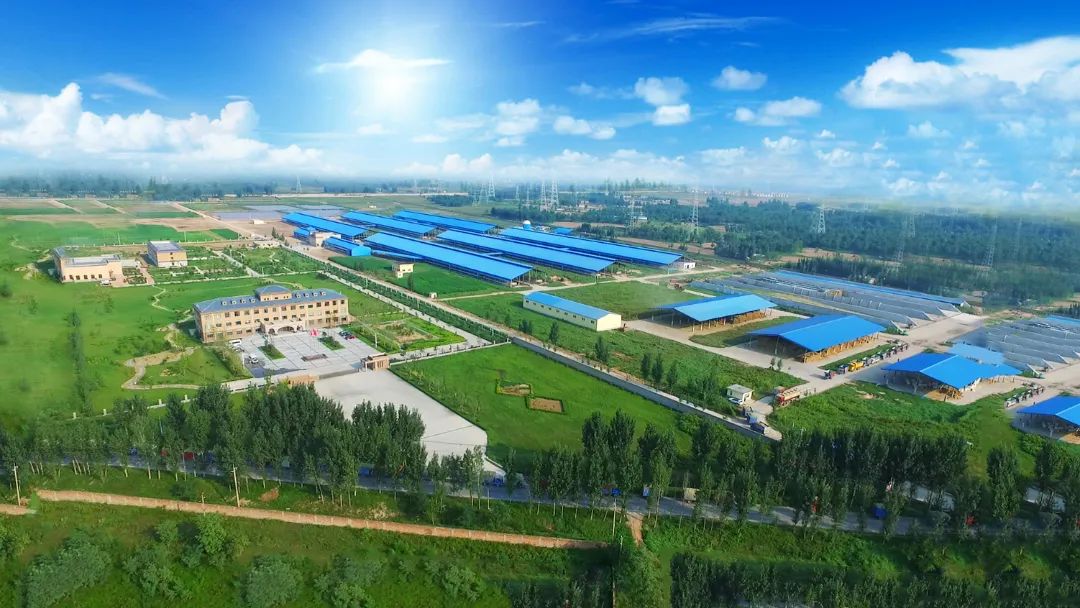 花花牛 | 河南瑞亞牧業(yè)入選“河南省畜禽核心育種場” 花花牛 | 河南瑞亞牧業(yè)入選“河南省畜禽核心育種場”