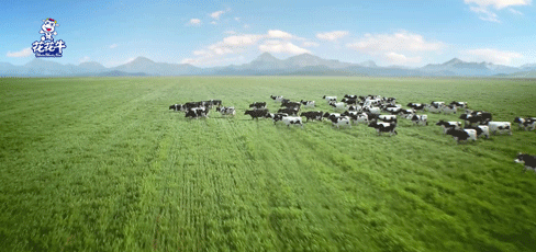 快訊 | 2020河南民營企業(yè)100強發(fā)布 花花牛榮獲“河南民營企業(yè)現(xiàn)代農(nóng)業(yè)100強”、“河南民營企業(yè)社會責任100強”雙榮譽