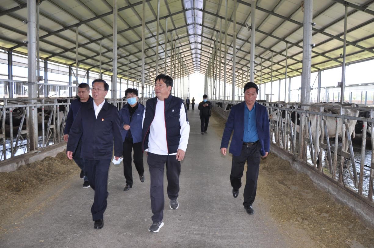 商丘市委常委、宣傳部部長(zhǎng)王全周一行蒞臨睢縣瑞亞牧業(yè)有限公司調(diào)研