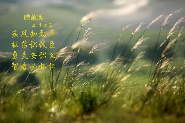 花花牛 | 疾風(fēng)來臨，你是不是勁草？