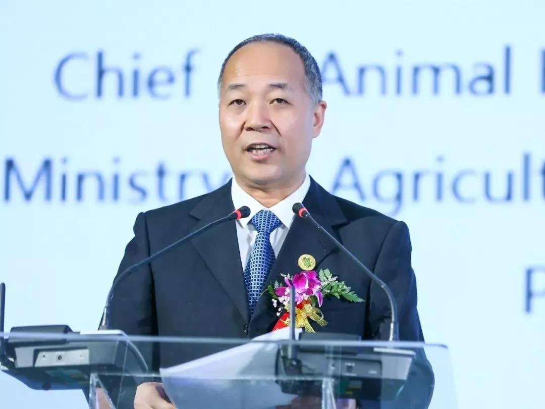 SDDDC走進(jìn)河南，看看花花牛的國(guó)際范兒！