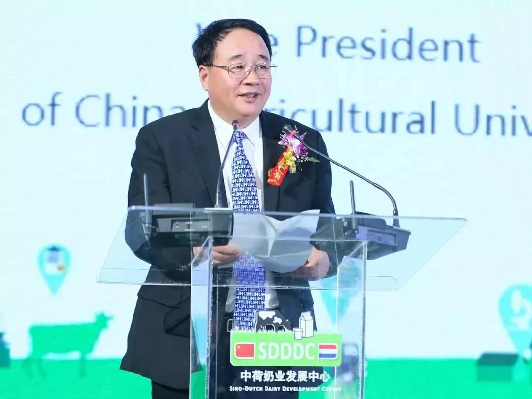 SDDDC走進(jìn)河南，看看花花牛的國(guó)際范兒！