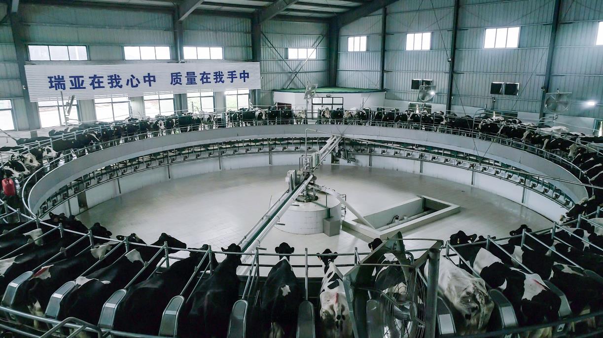 又雙叒叕獲獎啦！花花牛榮獲“乳品質(zhì)量安全管理 優(yōu)秀企業(yè)”